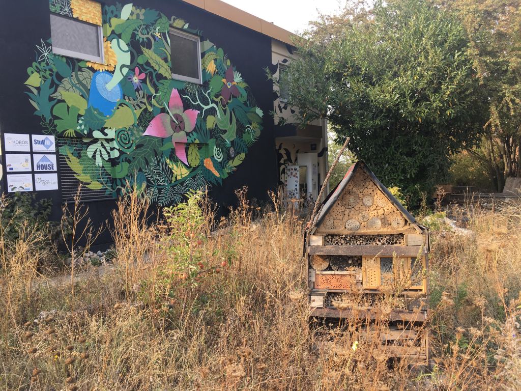 Snapshot: Solitary bee hotel at CampusGarten Uni Würzburg&nbsp;28.09.18
